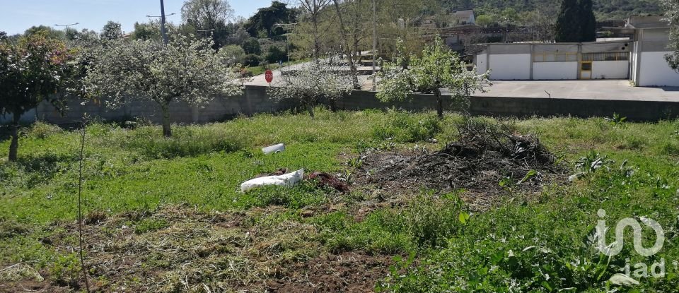 Gîte T3 à Ansião de 169 m²