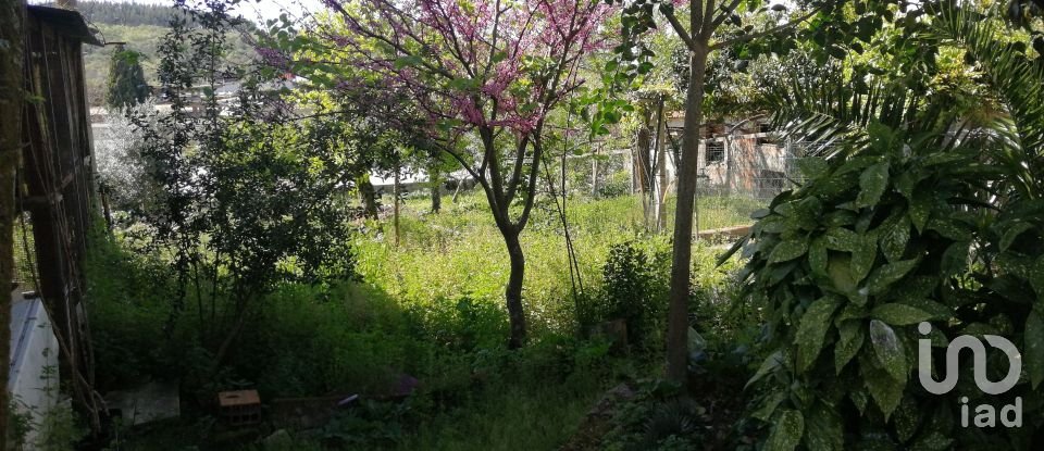 Gîte T3 à Ansião de 169 m²