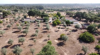 House T3 in Abela of 70 m²