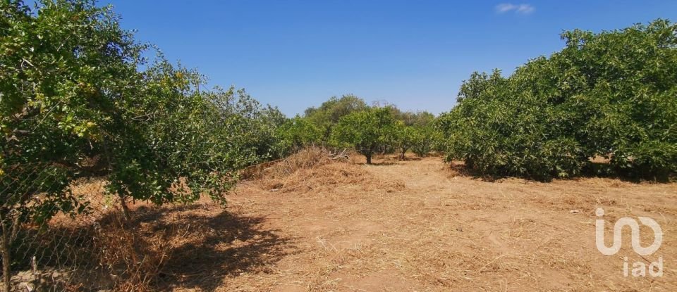 Maison T3 à Loulé (São Sebastião) de 180 000 m²