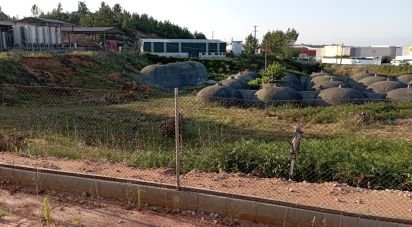 Terrain à Seiça de 10 180 m²