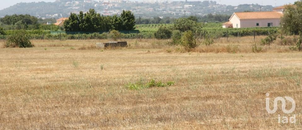 Terrain à bâtir à Palmela de 31 361 m²