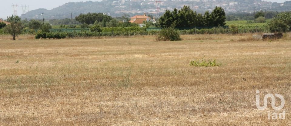 Terrain à bâtir à Palmela de 31 361 m²