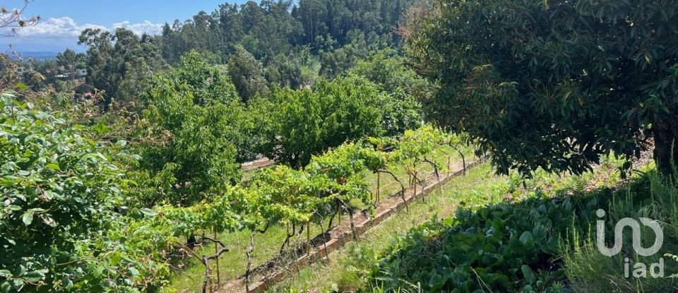 Moradia T3 em Santiago de Besteiros de 250 m²