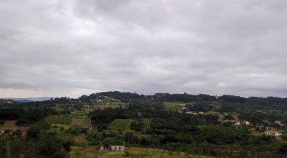 Terrain à bâtir à Colmeias e Memória de 11 774 m²