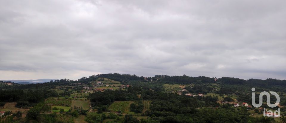 Building plot in Colmeias e Memória of 11,774 m²