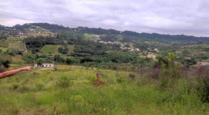 Terrain à bâtir à Colmeias e Memória de 11 774 m²