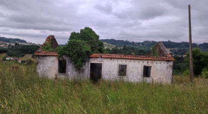 Terrain à bâtir à Colmeias e Memória de 11 774 m²