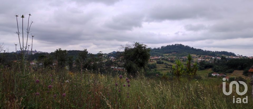 Building plot in Colmeias e Memória of 11,774 m²