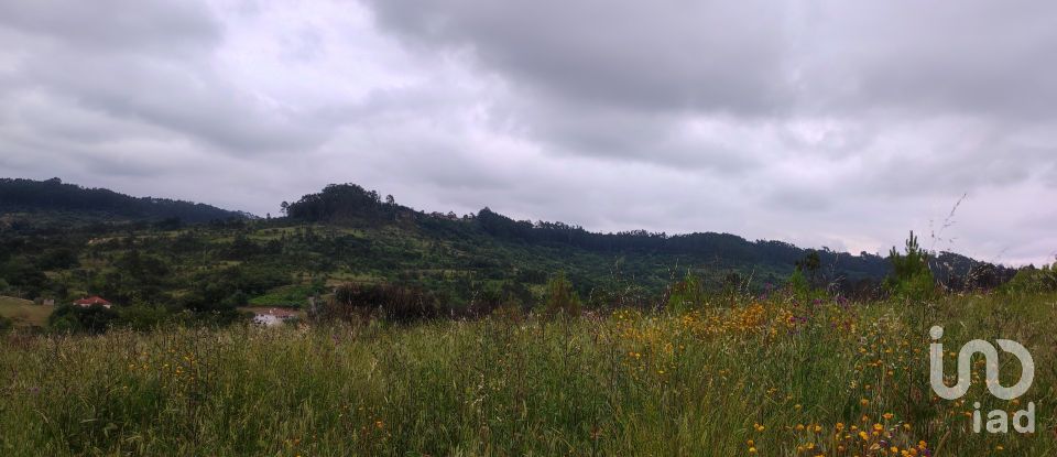 Building plot in Colmeias e Memória of 11,774 m²