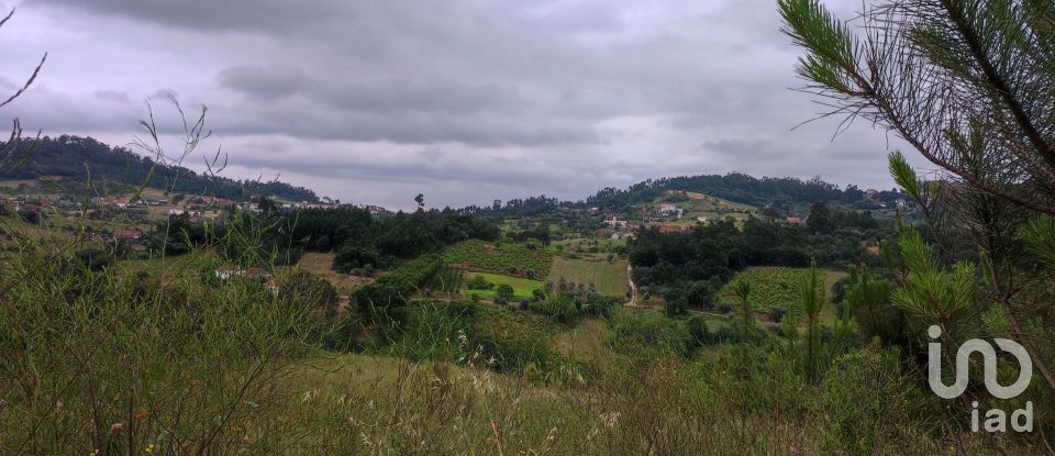 Building plot in Colmeias e Memória of 11,774 m²