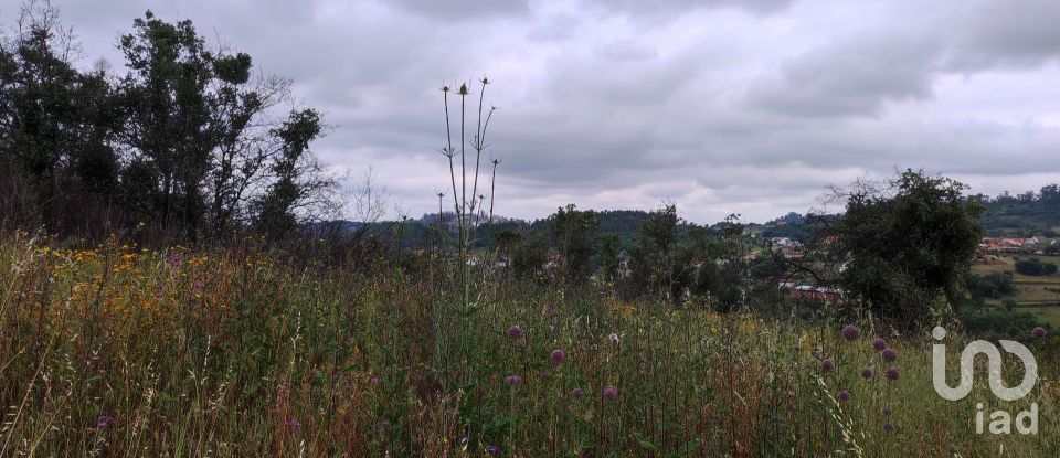 Building plot in Colmeias e Memória of 11,774 m²