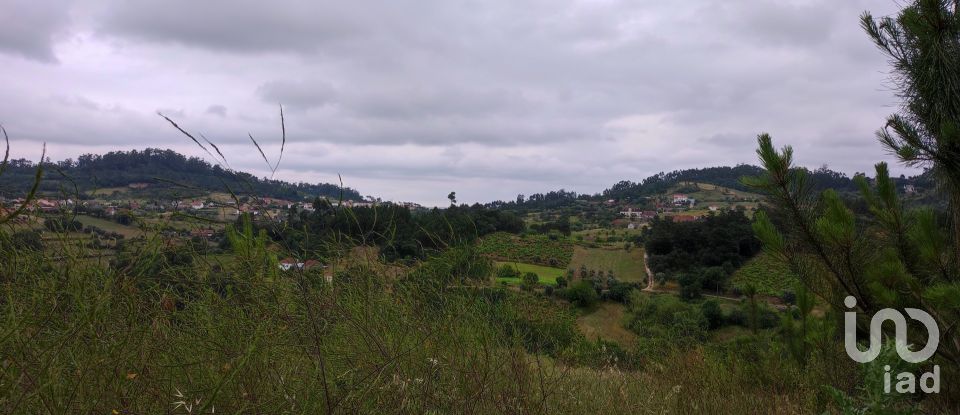 Building plot in Colmeias e Memória of 11,774 m²