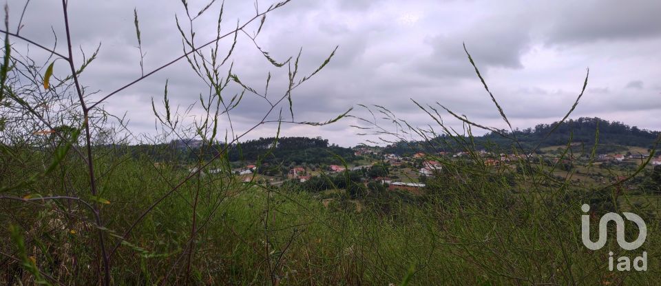 Building plot in Colmeias e Memória of 11,774 m²