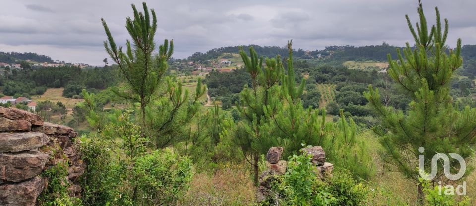 Building plot in Colmeias e Memória of 11,774 m²