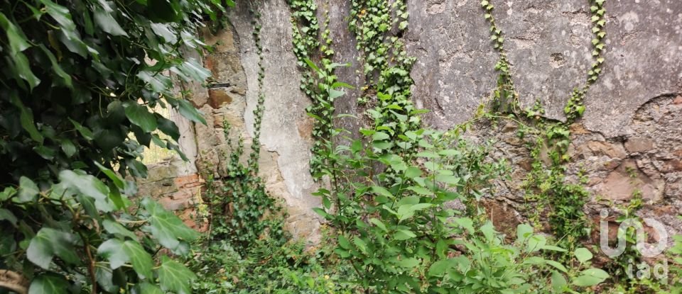 Building plot in Colmeias e Memória of 11,774 m²