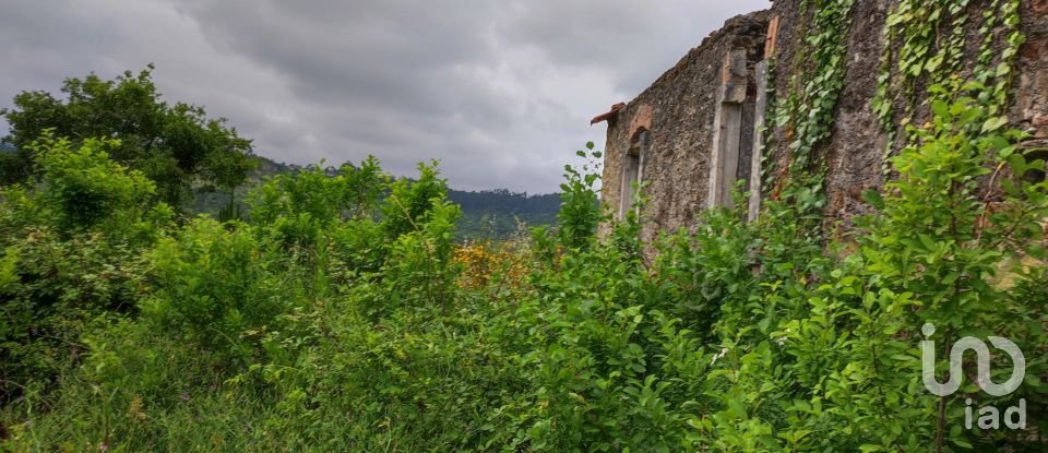 Building plot in Colmeias e Memória of 11,774 m²