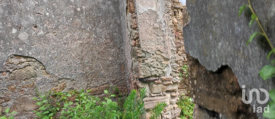 Building plot in Colmeias e Memória of 11,774 m²