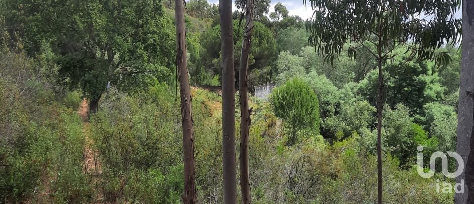 Country home T3 in São Teotónio of 150 m²