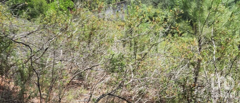 Country home T3 in São Teotónio of 150 m²