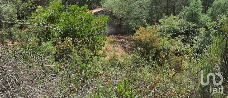 Country home T3 in São Teotónio of 150 m²