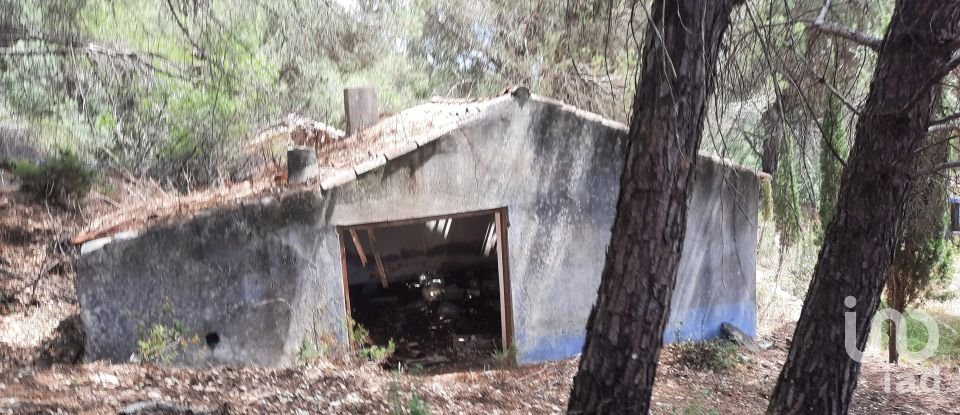 Country home T3 in São Teotónio of 150 m²