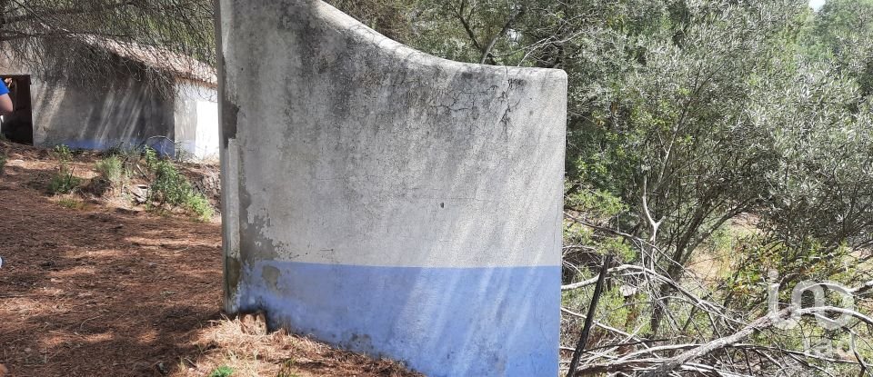 Country home T3 in São Teotónio of 150 m²