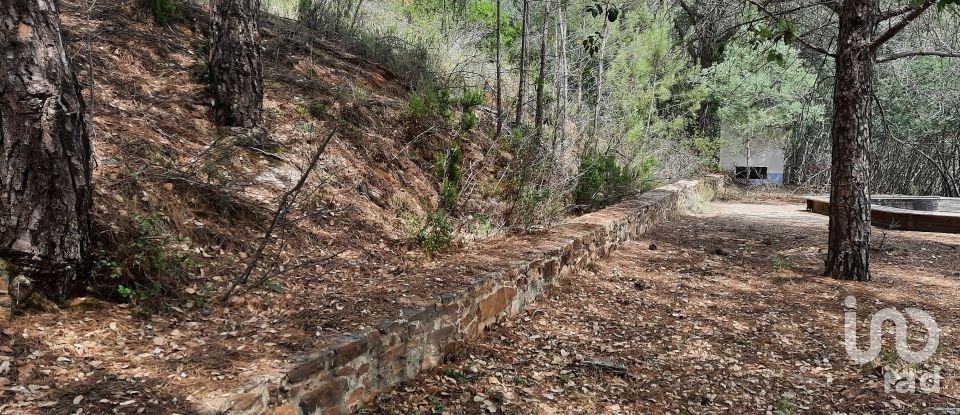 Country home T3 in São Teotónio of 150 m²