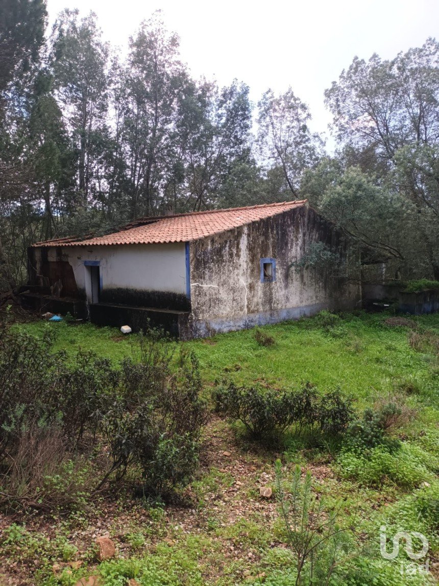 Maison de campagne T3 à São Teotónio de 150 m²
