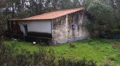 Country house T3 in São Teotónio of 150 m²