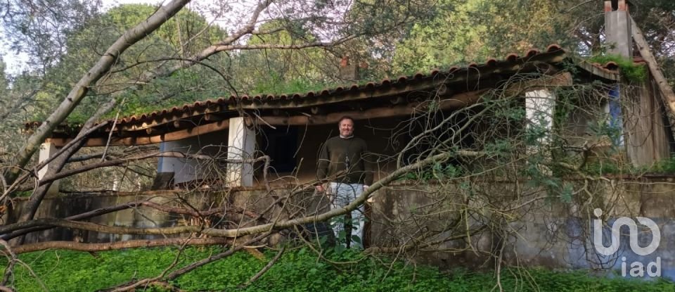 Country home T3 in São Teotónio of 150 m²