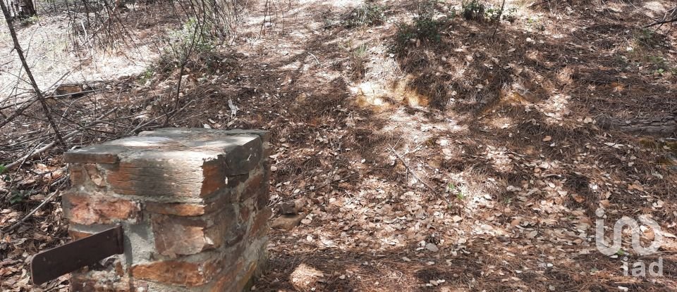 Country home T3 in São Teotónio of 150 m²