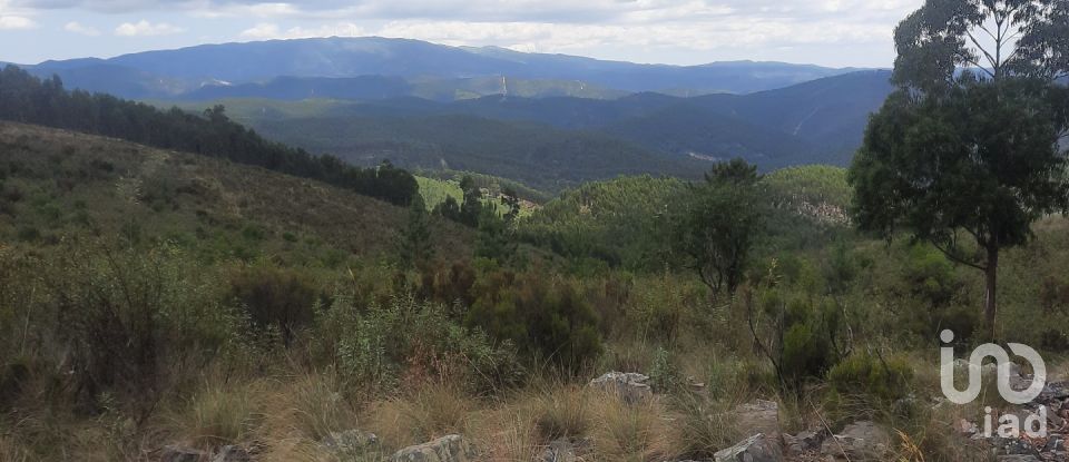 Country home T3 in São Teotónio of 150 m²