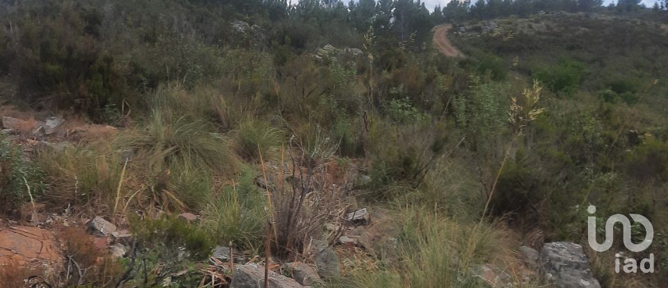 Country home T3 in São Teotónio of 150 m²