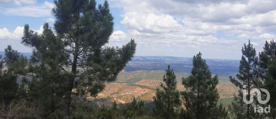 Country home T3 in São Teotónio of 150 m²