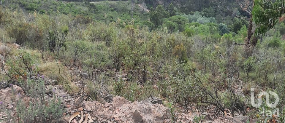 Country home T3 in São Teotónio of 150 m²