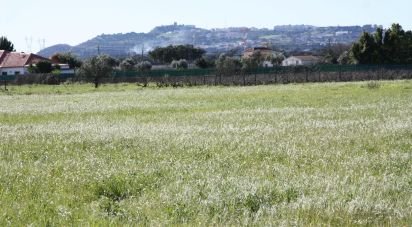 Terrain à bâtir à Palmela de 31 361 m²