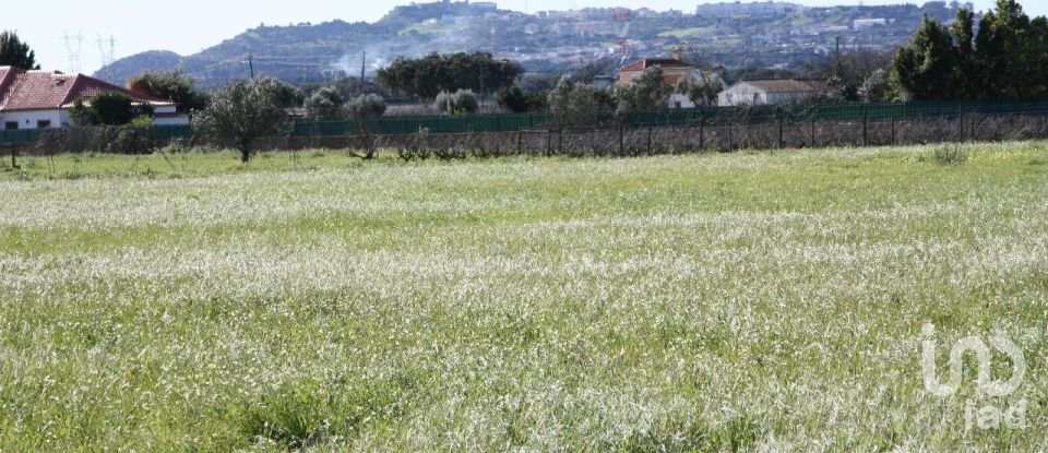 Terrain à bâtir à Palmela de 31 361 m²