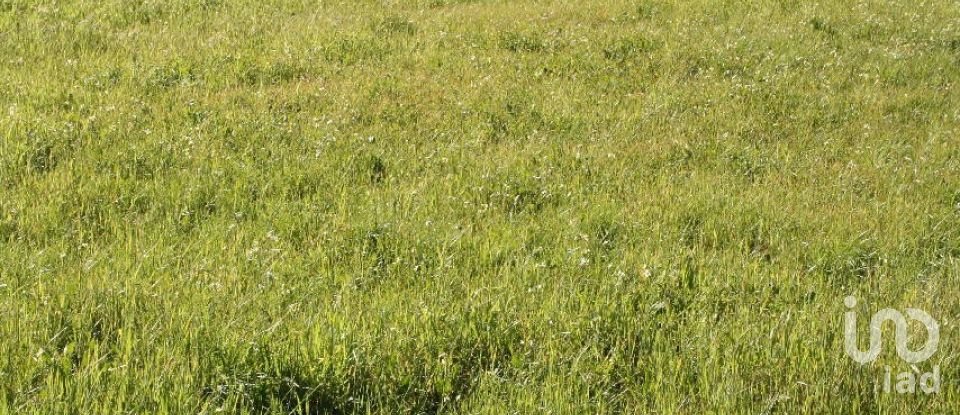 Terrain à bâtir à Palmela de 31 361 m²
