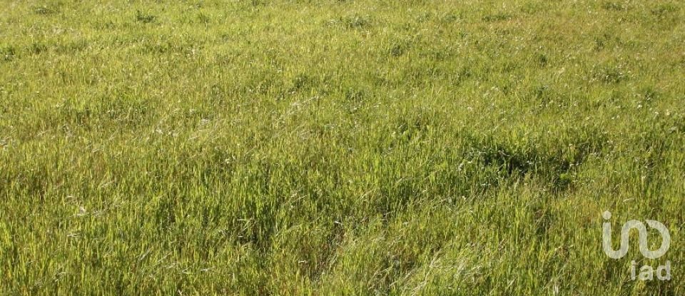 Terrain à bâtir à Palmela de 31 361 m²