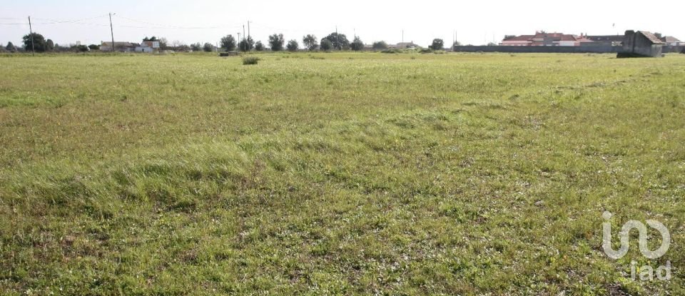 Terrain à bâtir à Palmela de 31 361 m²