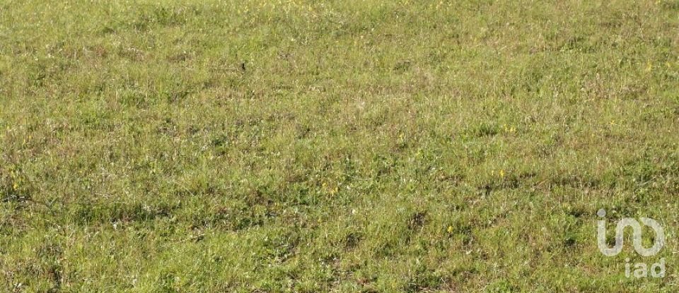 Terrain à bâtir à Palmela de 31 361 m²