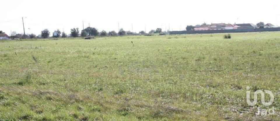 Terrain à bâtir à Palmela de 31 361 m²