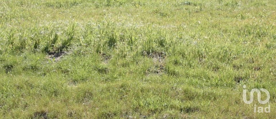 Terrain à bâtir à Palmela de 31 361 m²