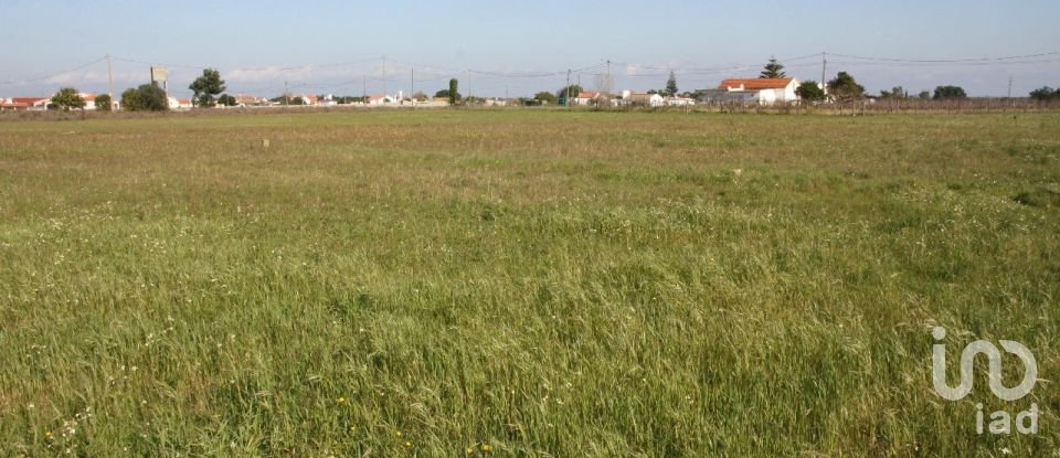 Terrain à bâtir à Palmela de 31 361 m²