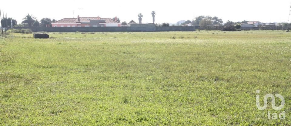 Terrain à bâtir à Palmela de 31 361 m²
