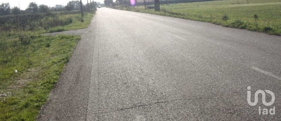 Terrain à bâtir à Palmela de 31 361 m²