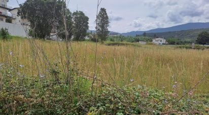 Terrain à Serpins de 585 m²