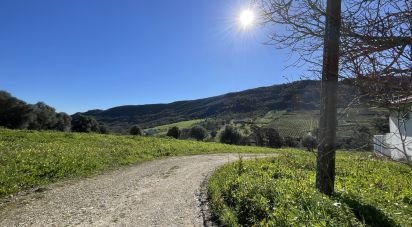 Ferme T5 à Alverca do Ribatejo e Sobralinho de 304 m²