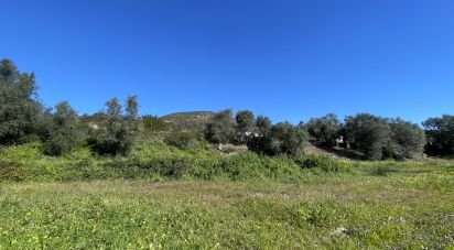 Ferme T5 à Alverca do Ribatejo e Sobralinho de 304 m²